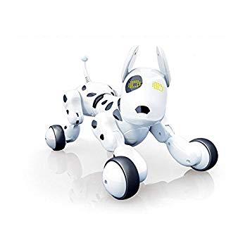 autismo, mascota robot, robotica y autismo