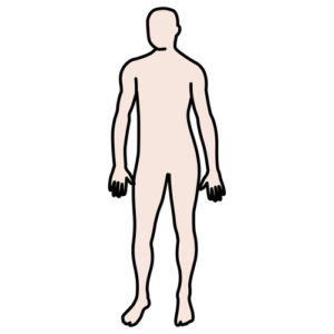 aprender partes del cuerpo, las partes del cuerpo niños, niños con autismo, ejercicios niños autistas, lenguaje receptivo, lenguaje autismo, partes del cuerpo autismo, actividades para niños con autismo, trastorno del espectro autista, auticmo