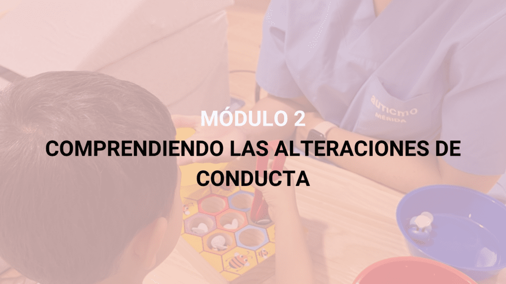 curso online alteraciones de conducta en tea, curso online autismo, cursos auticmo