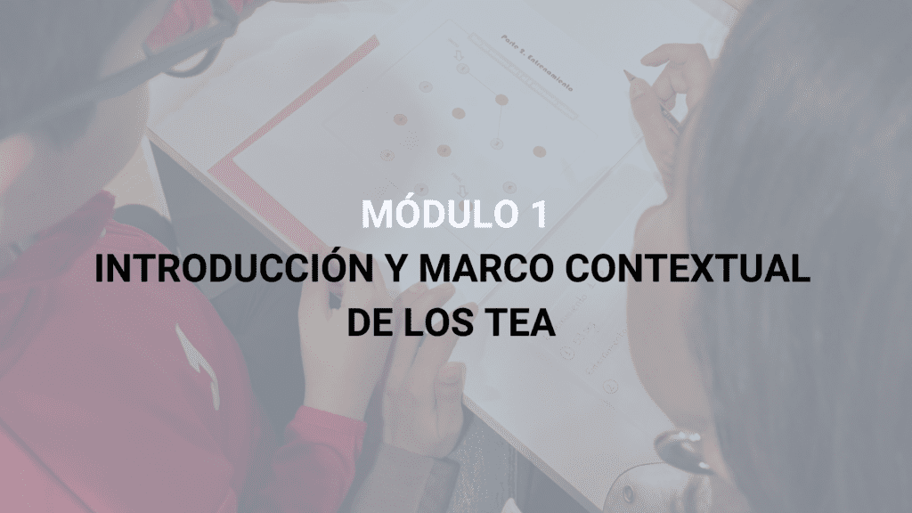 Estimulación y desarrollo del lenguaje en TEA
