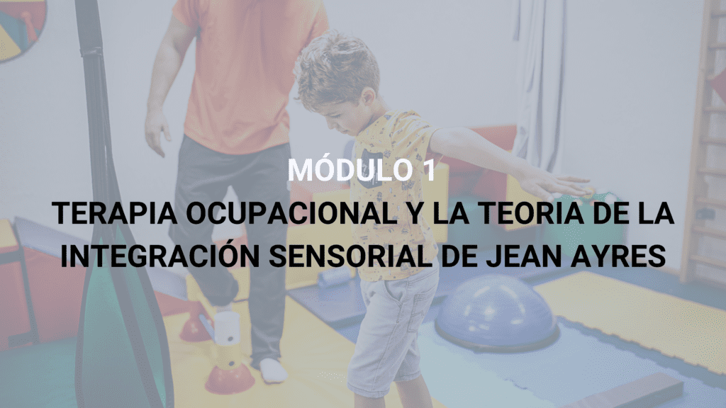 Curso Integración Sensorial TEA
