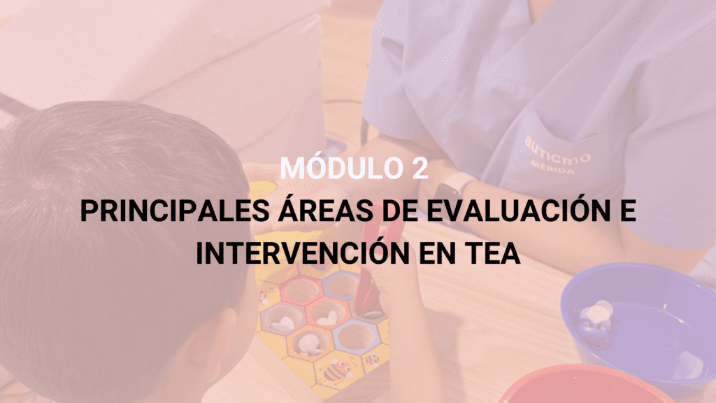 curso autismo para maestros, curso online autismo, cursos para maestros, cursos baremables para maestros, cursos oposiciones maestros