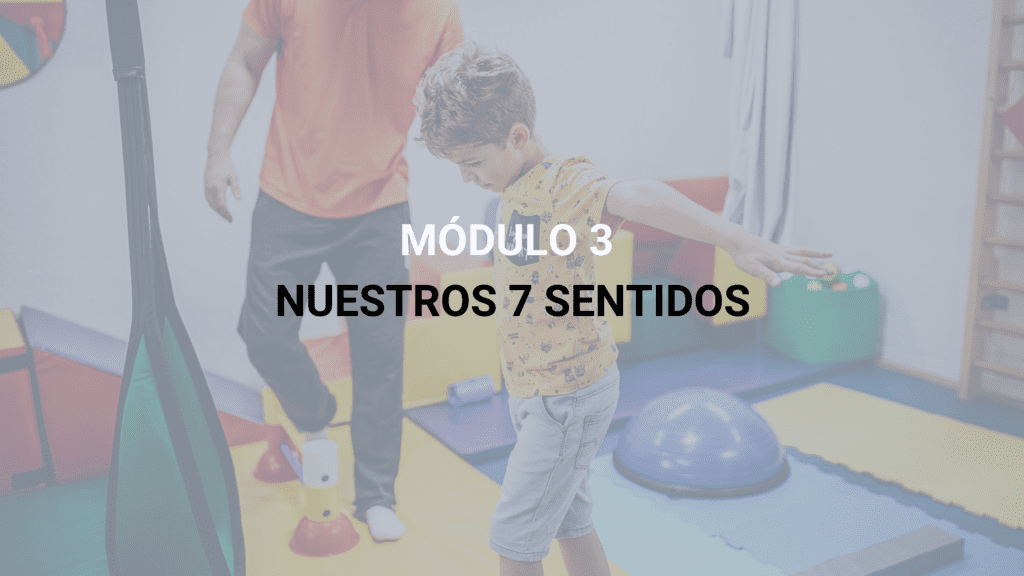 Curso Integración Sensorial TEA