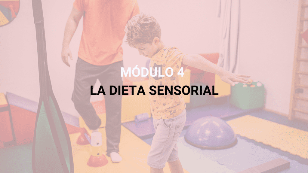 Curso Integración Sensorial TEA