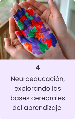 neuroeducación